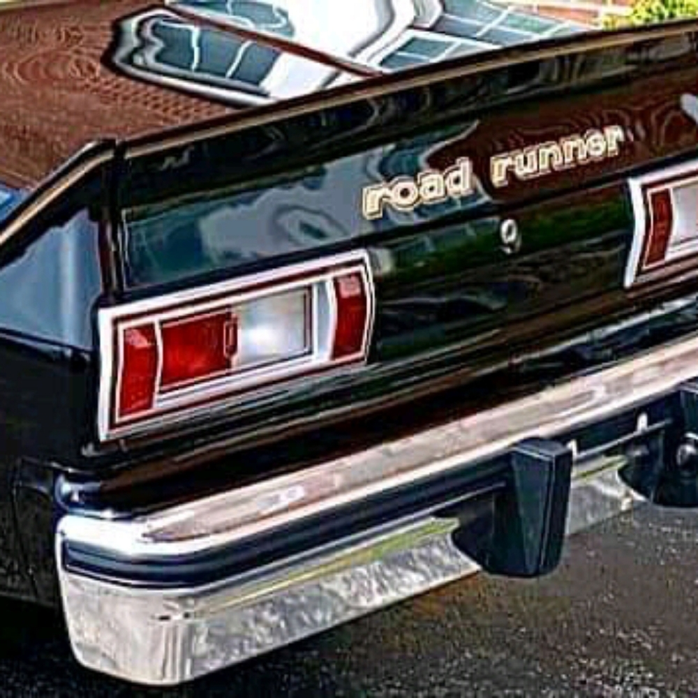 1980 Plymouth roadrunner